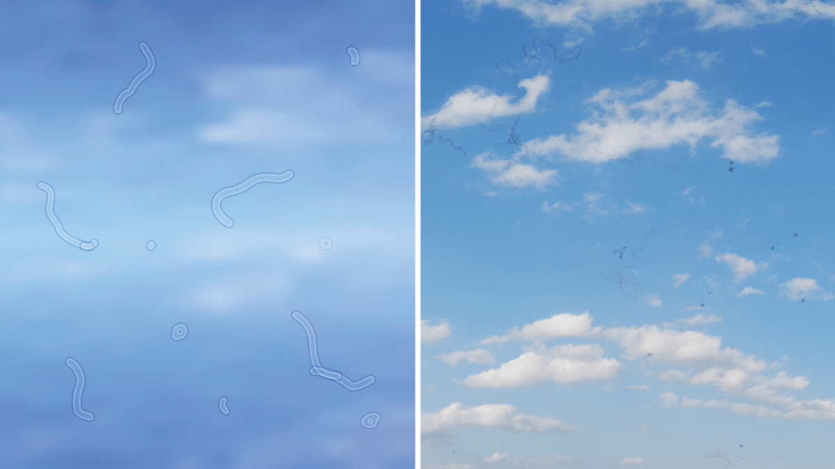 Eye Floaters Example Eye doctor reveals what to do if you start seeing ‘floaters’