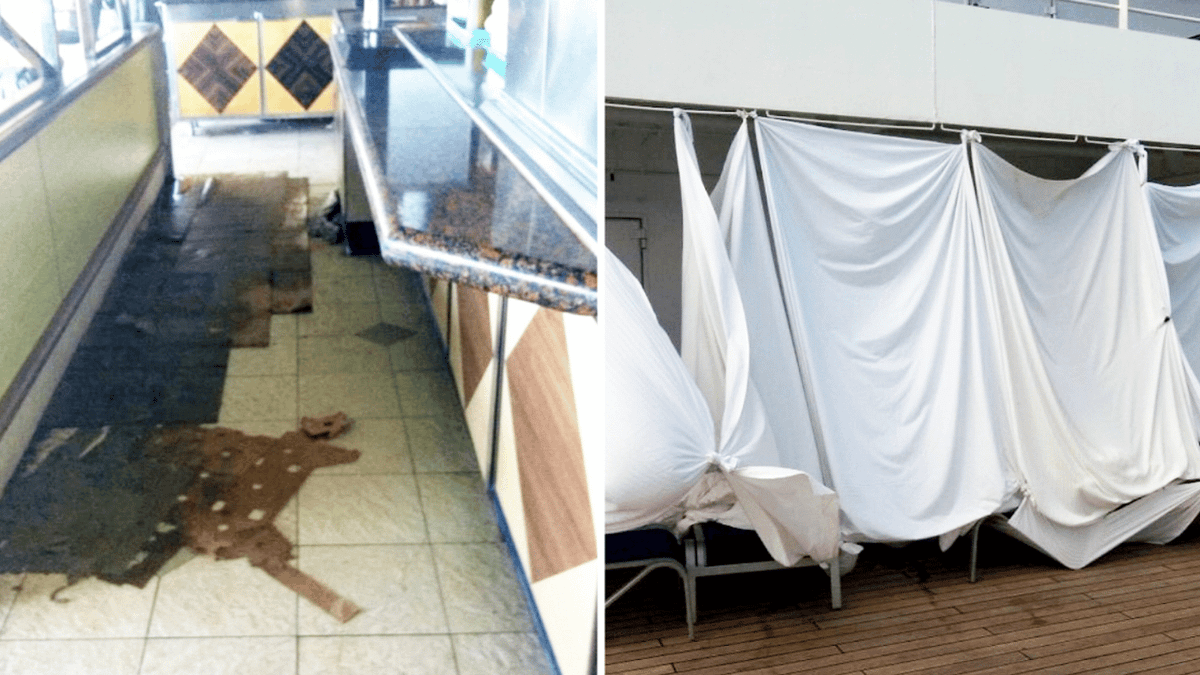 'Poop cruise' survivor speaks out on trauma after horrific new ...