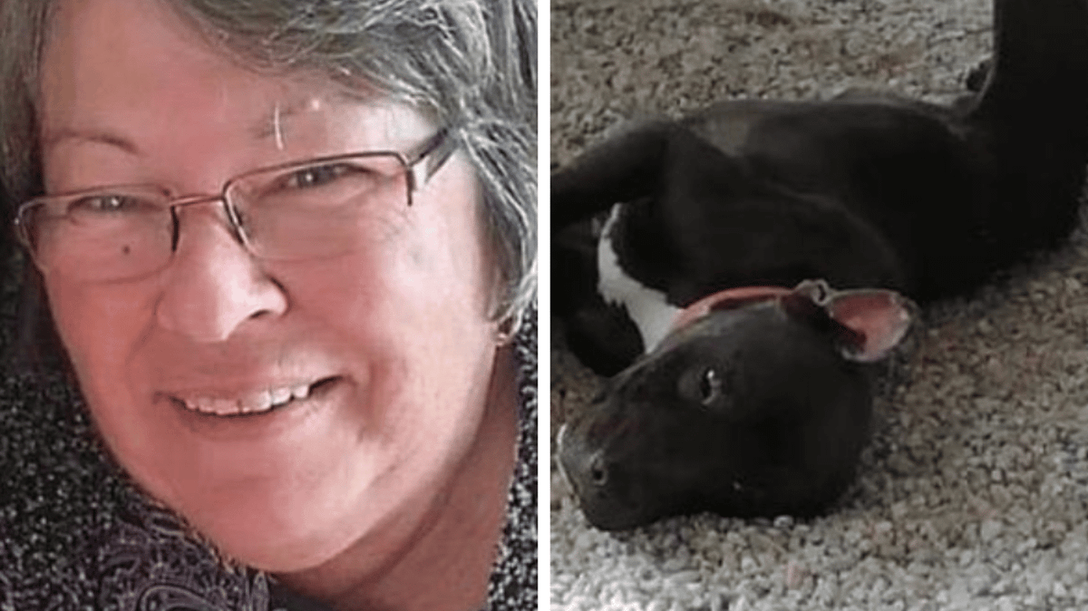 Grandmother killed by pit bull she took into her holiday home as a ...
