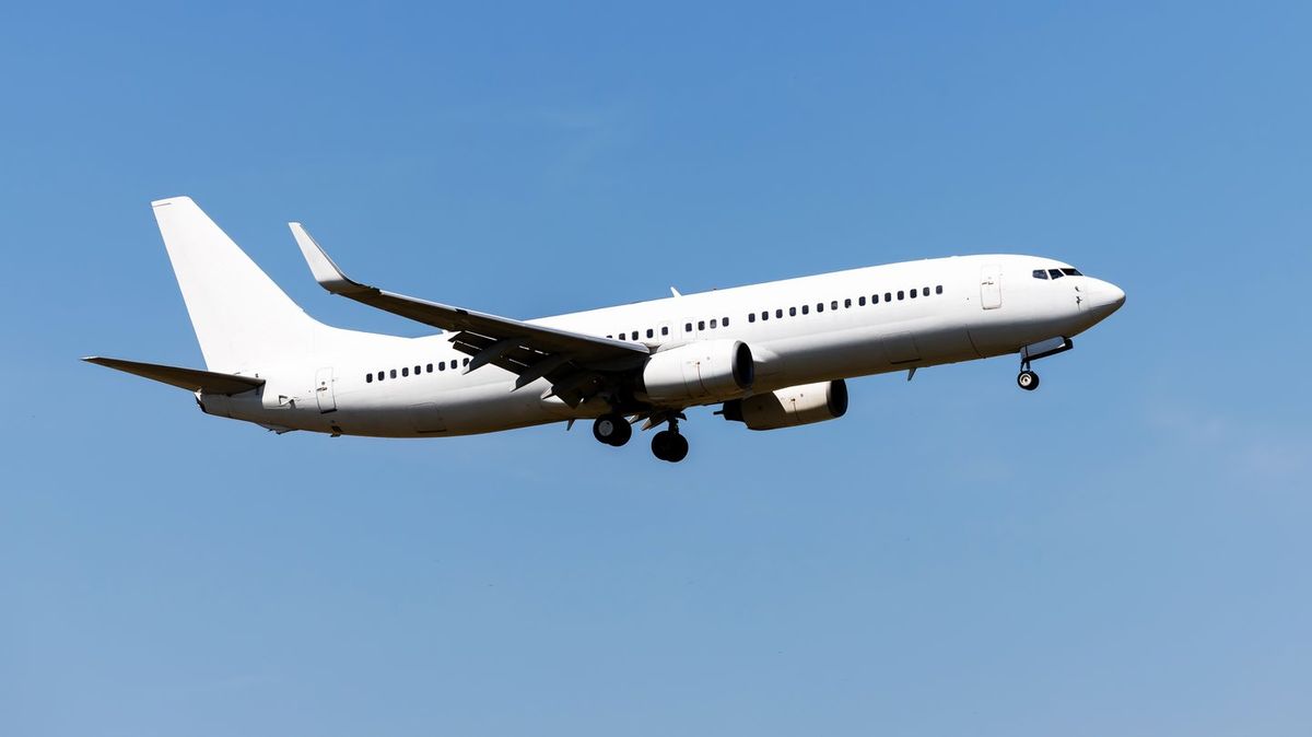 Flight attendant hospitalised after coming into contact with woman who died of hantavirus