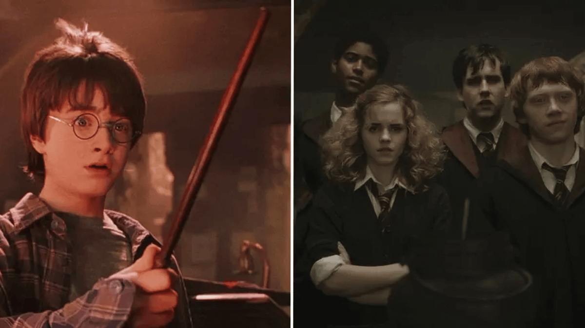 'Real order' you should watch all of the Harry Potter films in