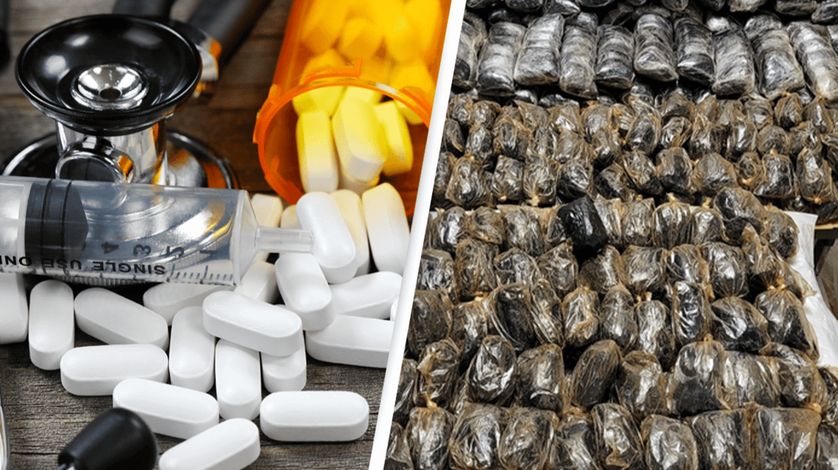 Police seize enough fentanyl to kill 42 million people