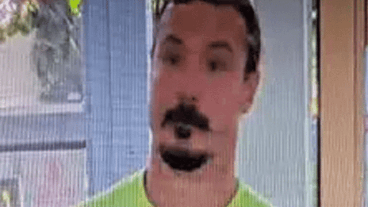 Authorities issue major update in search for dad accused of killing ...