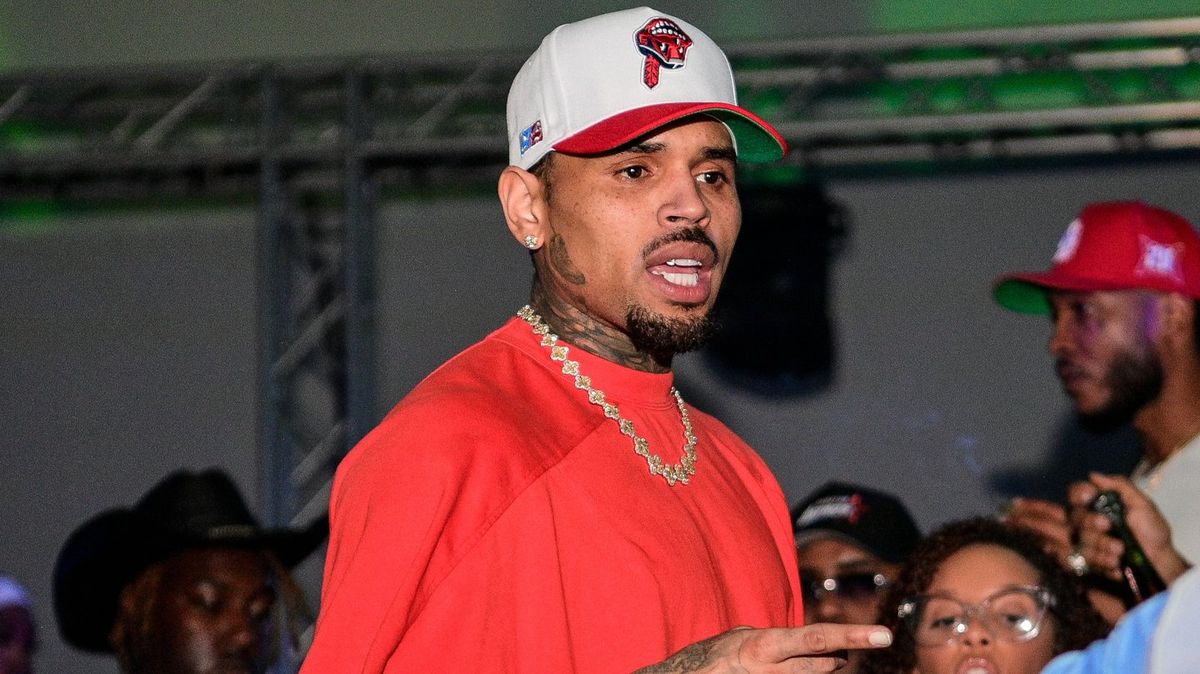 Chris Brown ordered to pay former housekeeper $13 million in dog attack lawsuit