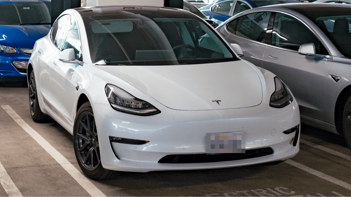Man shocked after learning how much Tesla he purchased for $62,990 in ...