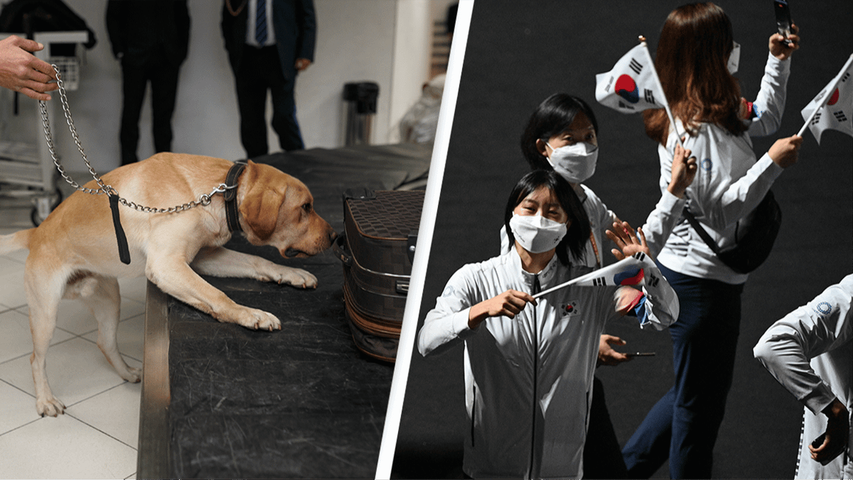 South Korea is using a sniffer dog to greet its Olympic athletes and ...