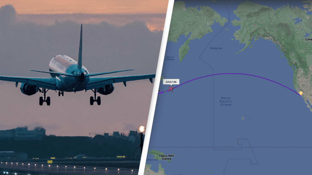 Flight went 'back in time' after it took off in 2025 and lands back in 2024