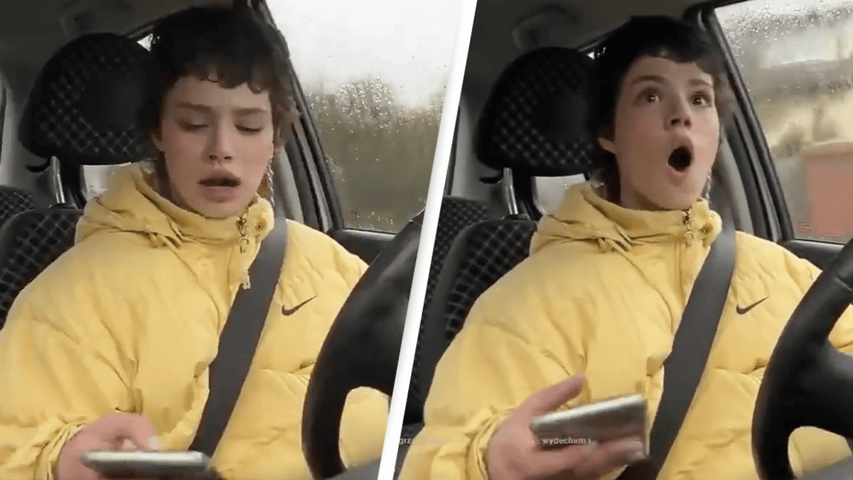 Twitch streamer gets banned after appearing to run over dog during ...