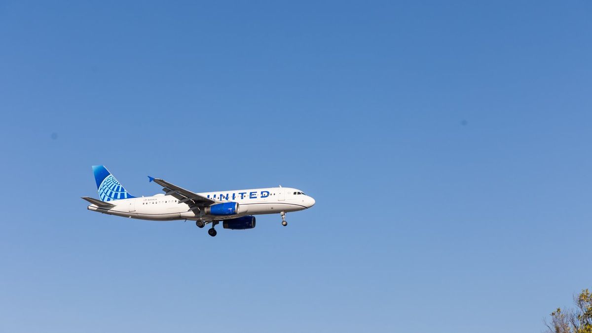 United Airlines flight forced to turn around midair after crew member spotted worrying text on passenger's phone