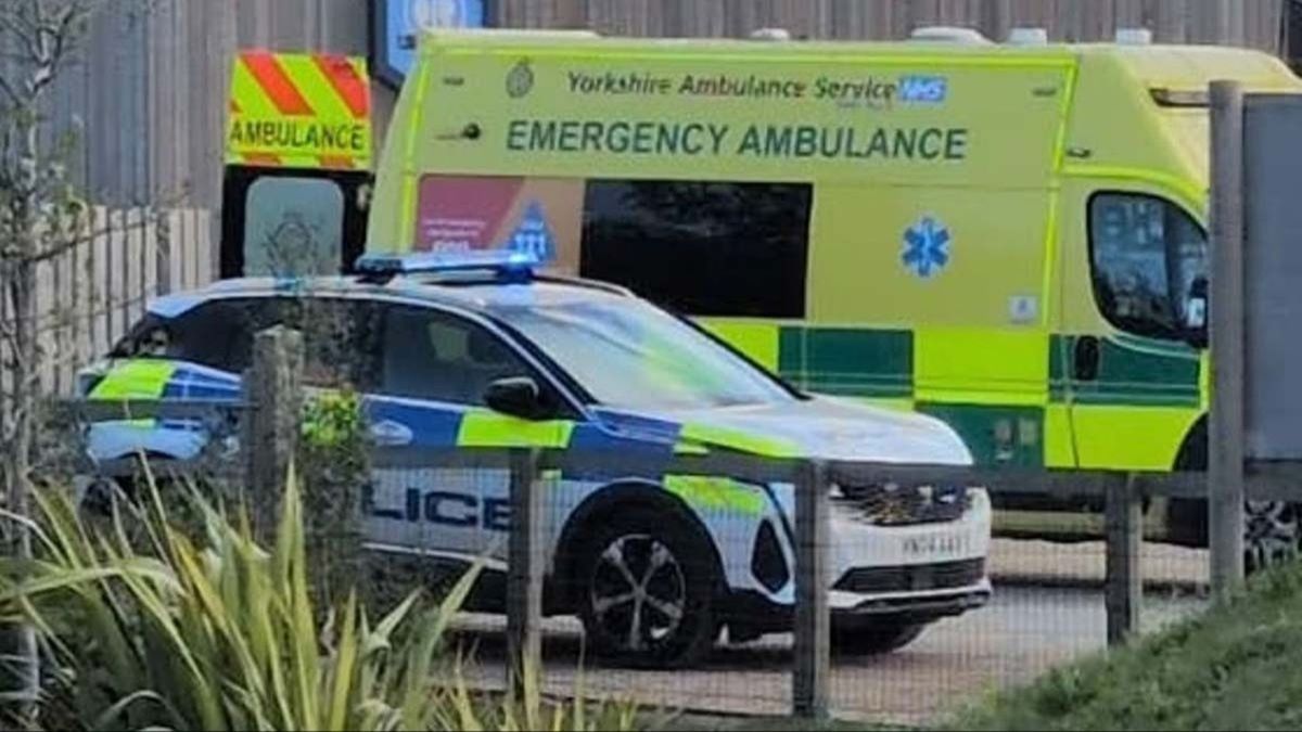 Find more about Police confirm man has died after entering tiger enclosure at zoo as new details released