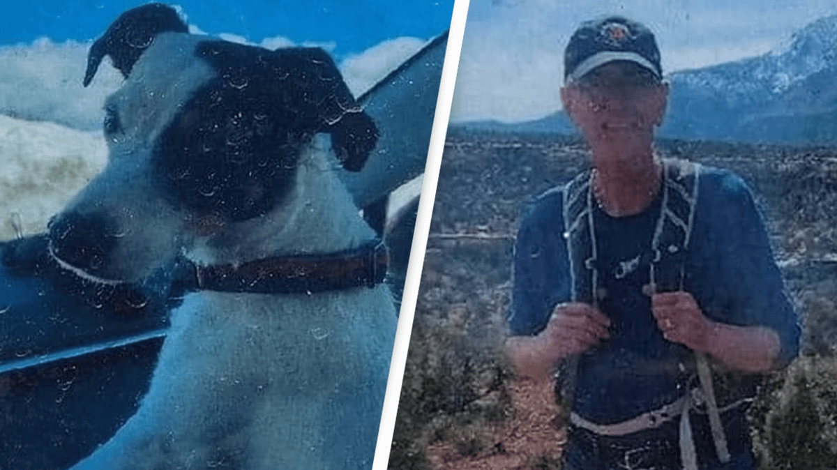 Dog reunited with family after being found alive with body of owner who ...