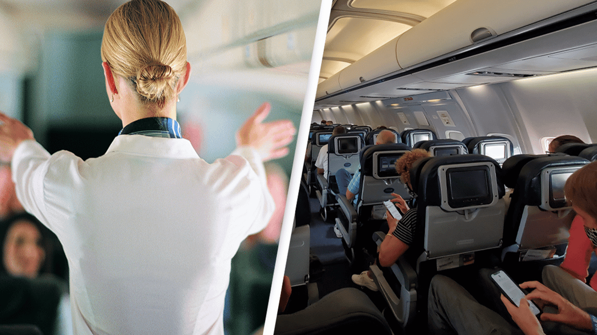 Flight attendant shares the nine-word secret message you don't want to ...