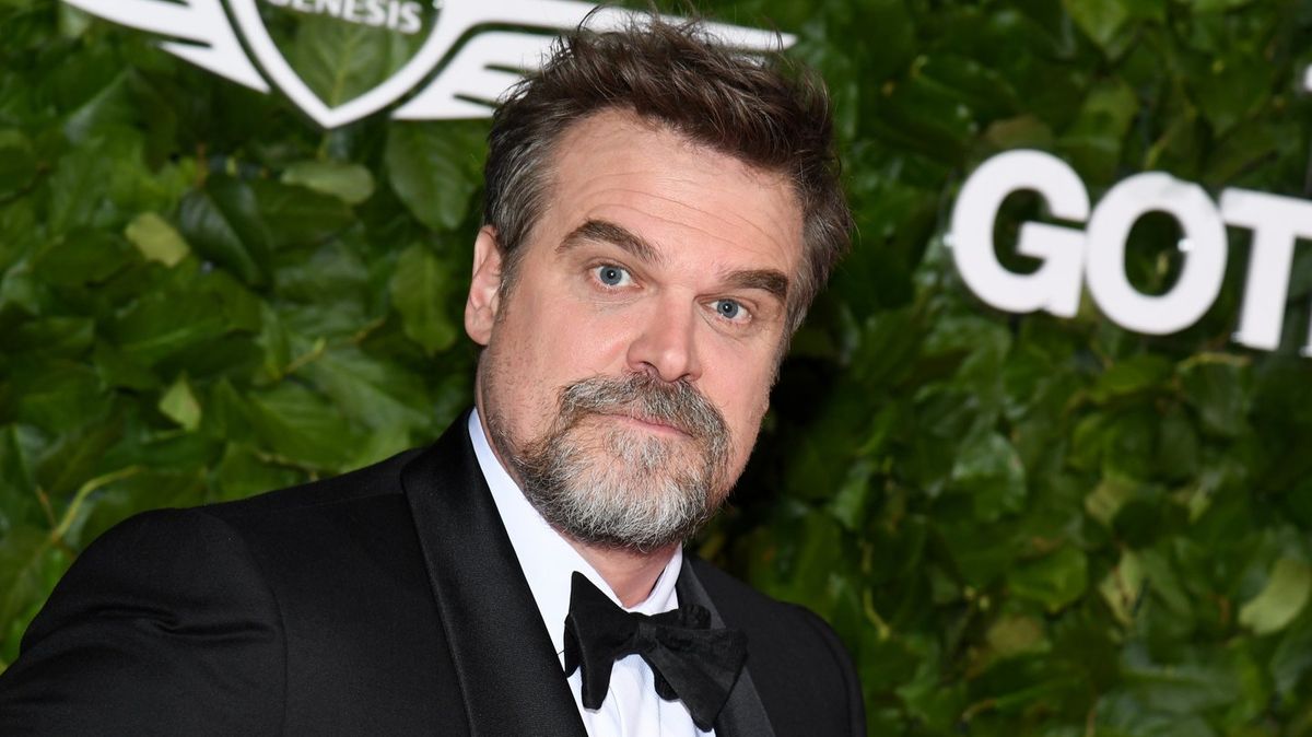 David Harbour addresses Lily Allen's 'weird' breakup album for the first time
