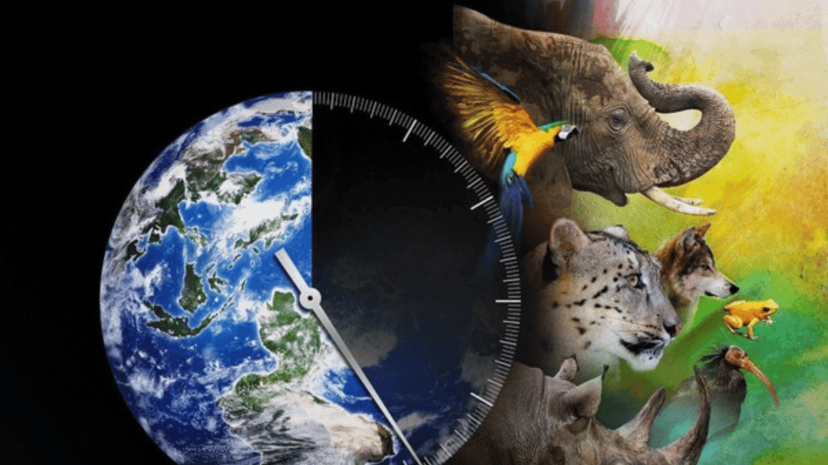 'Must watch' documentary that 'can't be ignored' has 'amazing ending ...