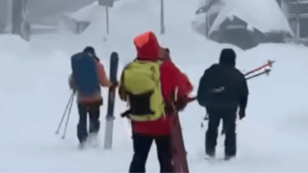 Tour guide company breaks silence as nine skiers remain missing following avalanche