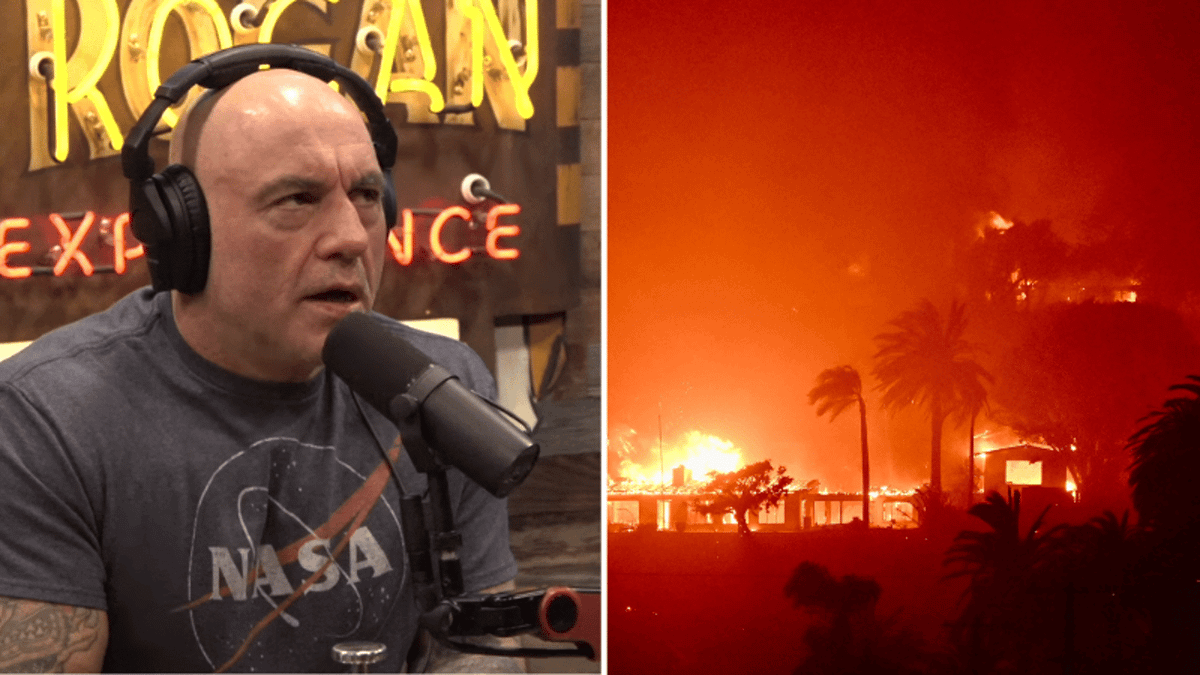 Joe Rogan Experience guest's house burned down in Los Angeles wildfires ...