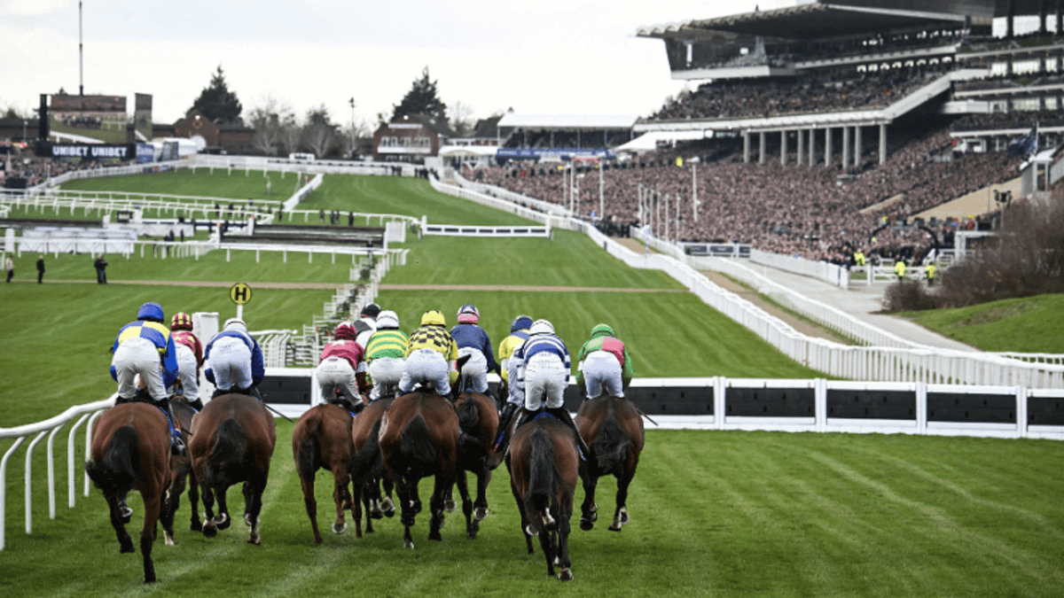 Cheltenham punter wins life-changing sum off outrageous £5 bet even ...