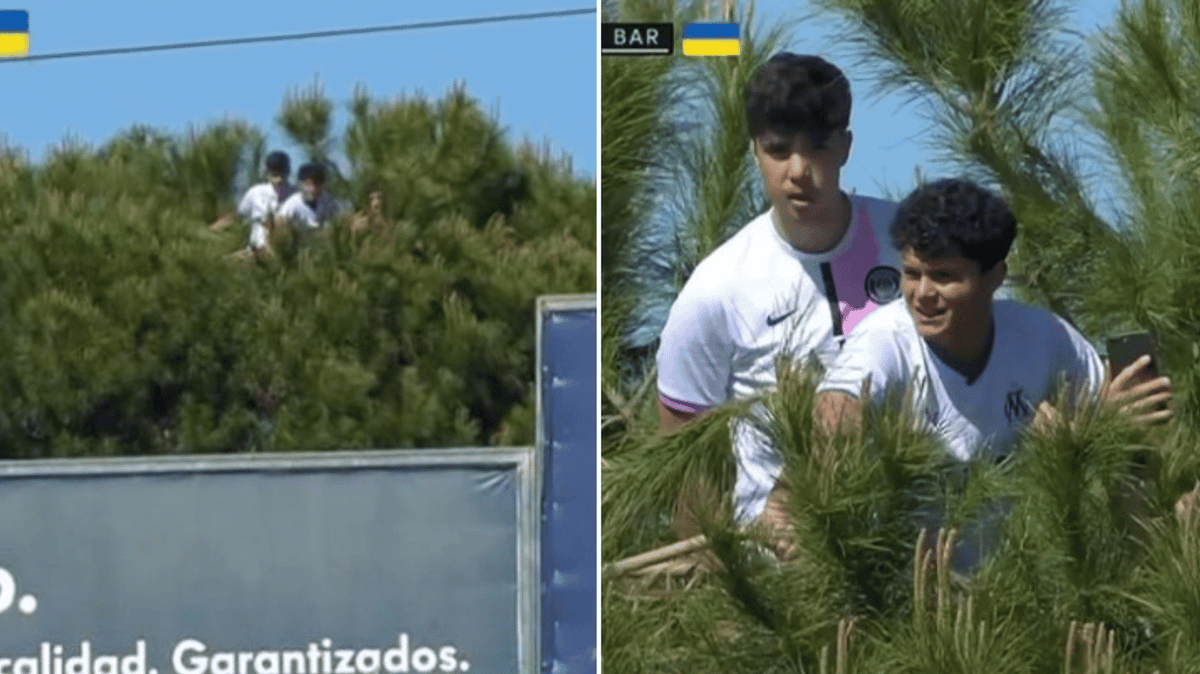A group of fans hilariously climbed a tree to watch Getafe vs. Barcelona