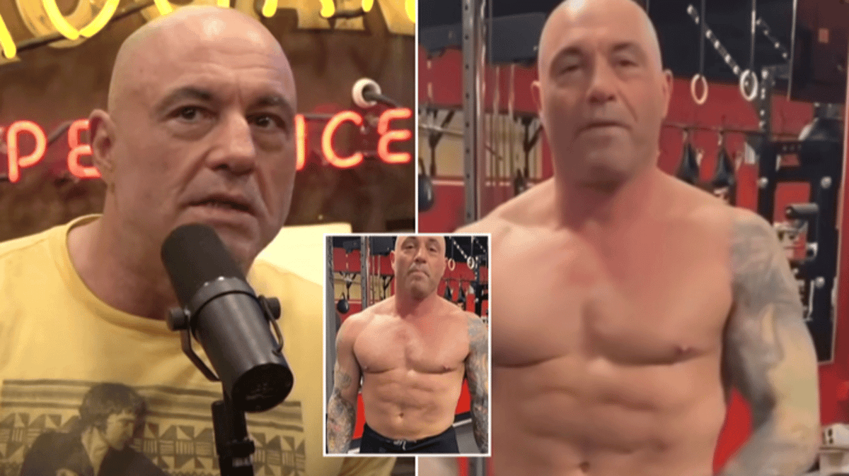 Joe Rogan Moose Kill Joe Rogan names the Hollywood A-lister he almost fought in the UFC who ...