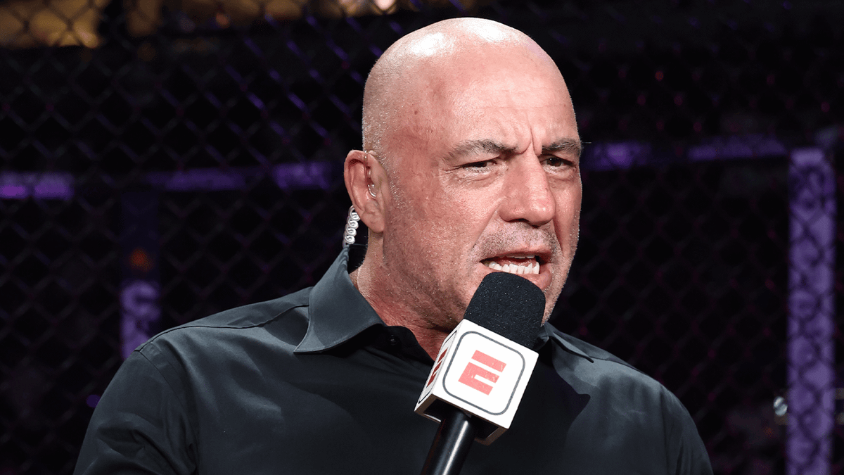 Go Rogan Joe Rogan Snubs Guest Begging for Podcast Appearance on Live TV