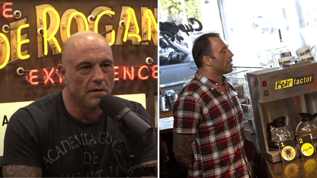 Joe Rogan admits one Fear Factor stunt made him so uncomfortable he ...