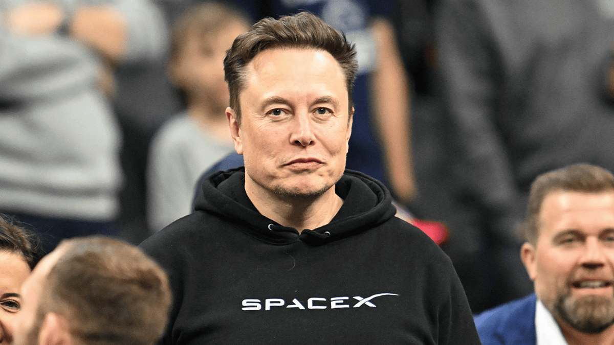 Elon Musk makes bizarre unverified claim about Tesla protestors amid ...