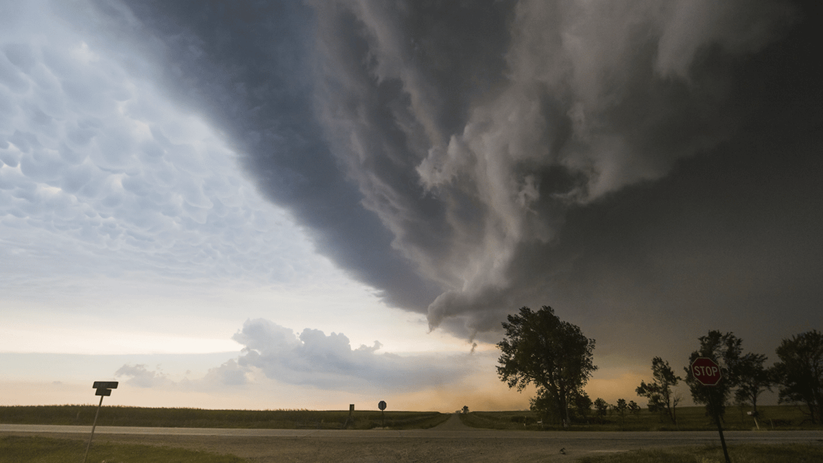 Dangerous fungal dust storms set to sweep across these US states CDC warns