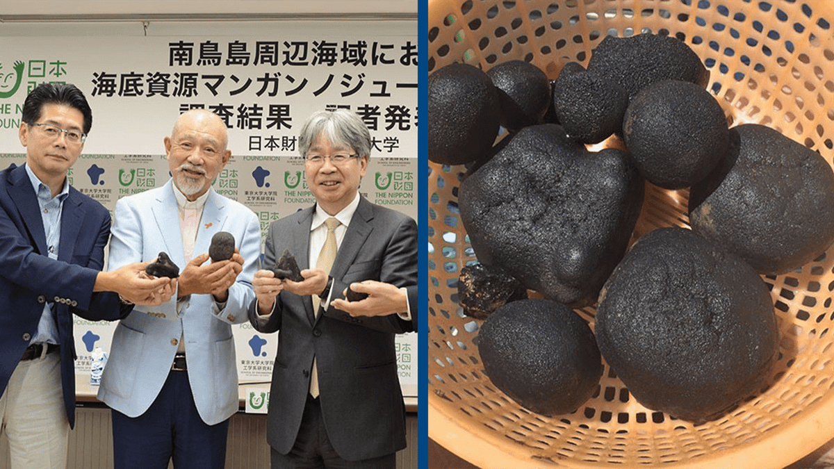 Japan Success Group THE MINERAL セット US, Japan to focus rare earths cooperation on select group of