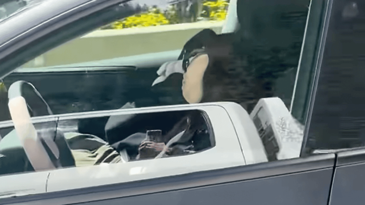 Criminal charges woman could face after being caught asleep behind ...