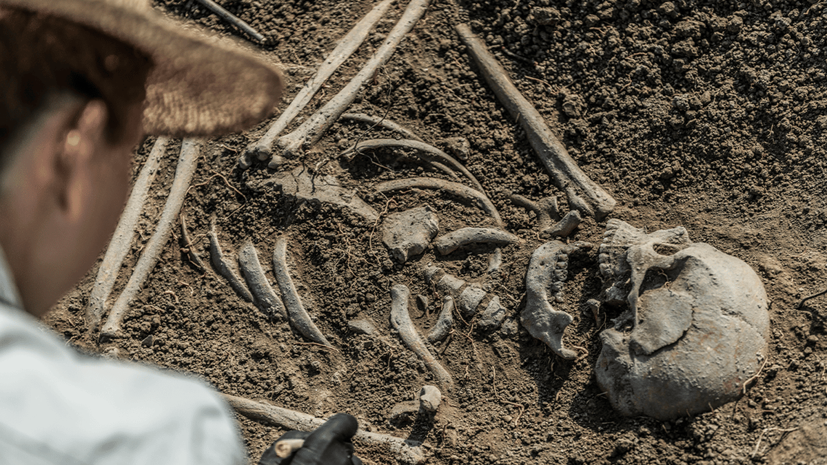 99% of human population was wiped out 900,000 years ago with 1,000 ...