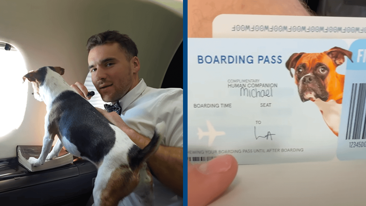 Dog Ticket Vip Man pays $6,000 buying ticket to fly on the first ever airline made for ...