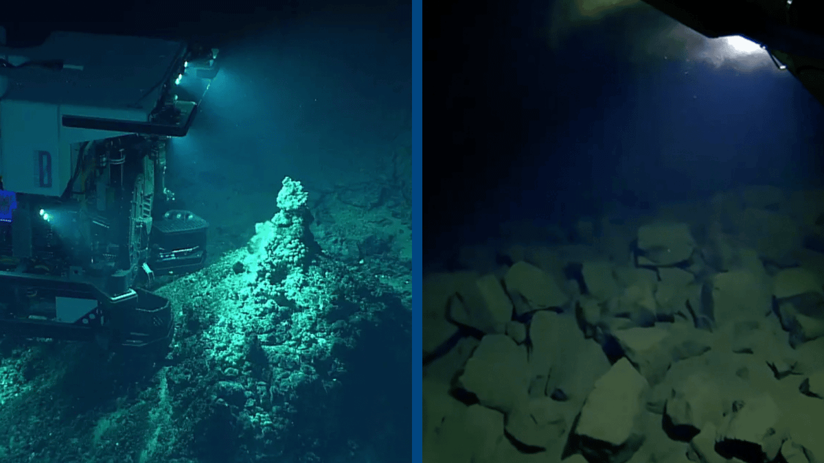 Deep Area The 'alien world' of the deepest point in the entire ocean