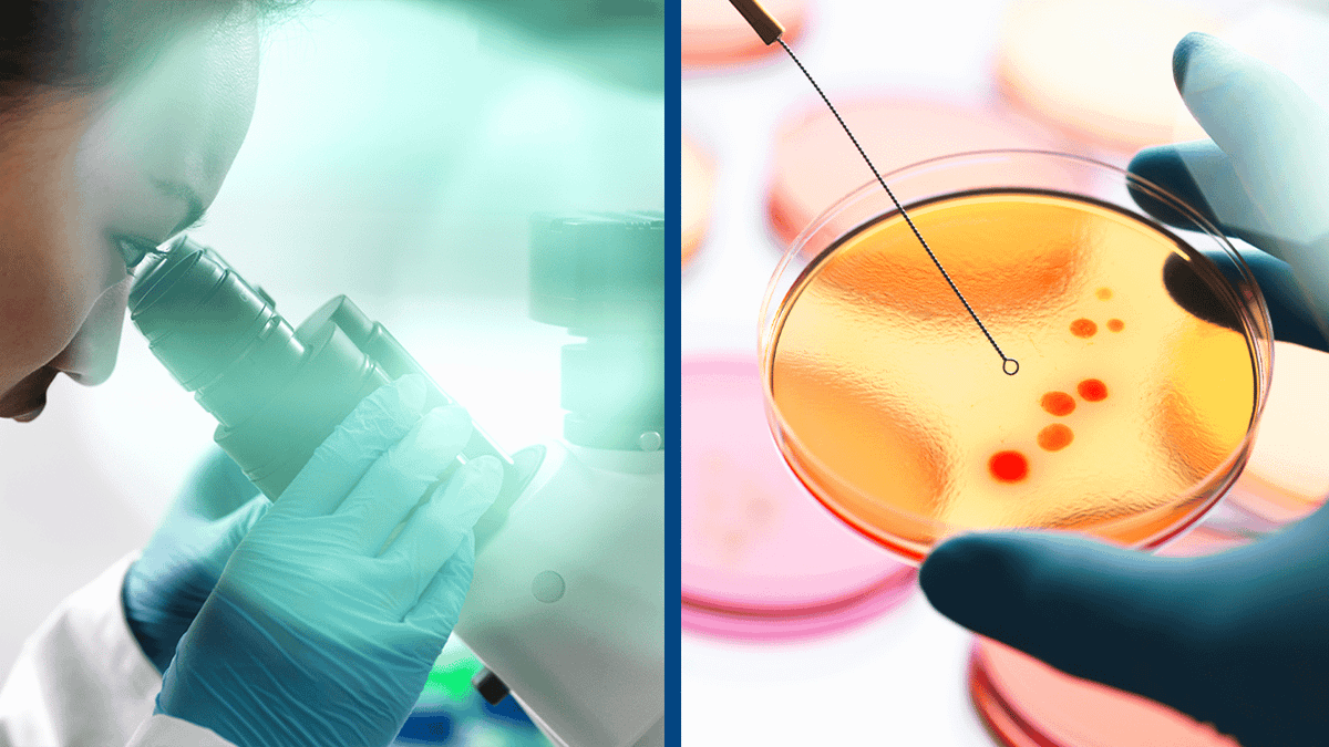 Scientists make breakthrough in process of creating artificial life in ...