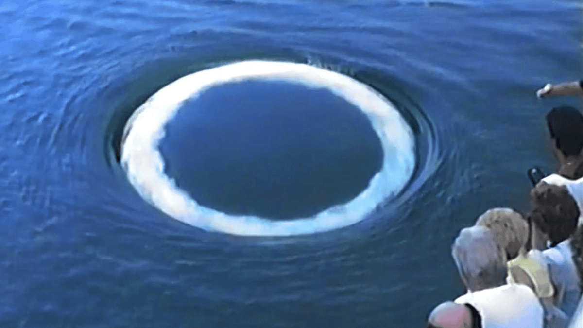 Scientists identify source of eerie ocean rings used as a ...