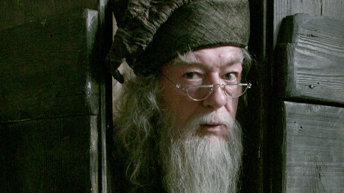 Harry Potter HBO reboot has found its Dumbledore, it seems