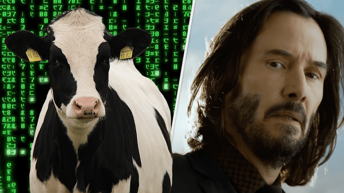 Cow Multiverse Real Cows Are Being Introduced To The Metaverse To Make More Milk