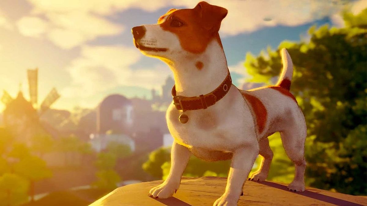 Steam Indie Hit Is Basically Stray For Dog Lovers, And The Internet Is Obsessed
