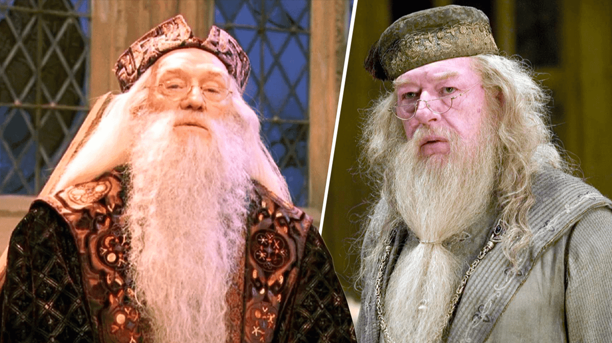 Spring Dumbledore Harry Potter fans united over our new Dumbledore for HBO reboot
