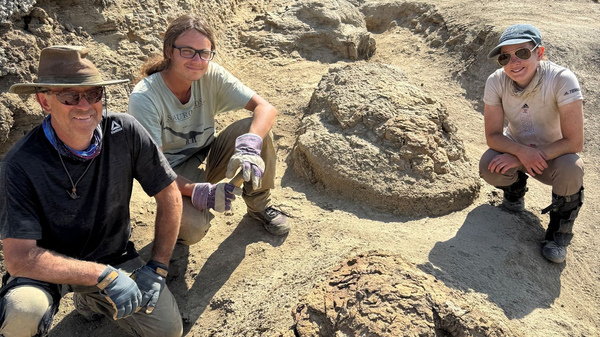 First ever known trackway of adult T-Rex discovered in North America dates back 66,500,000 years