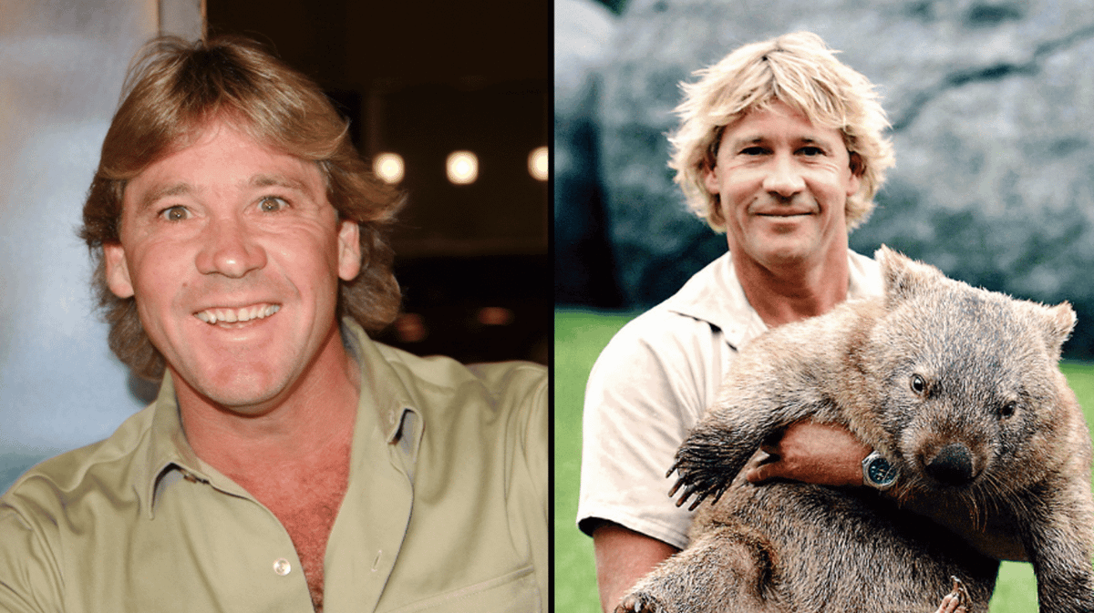 Mystery of video of Steve Irwin's death which caught his final moments ...