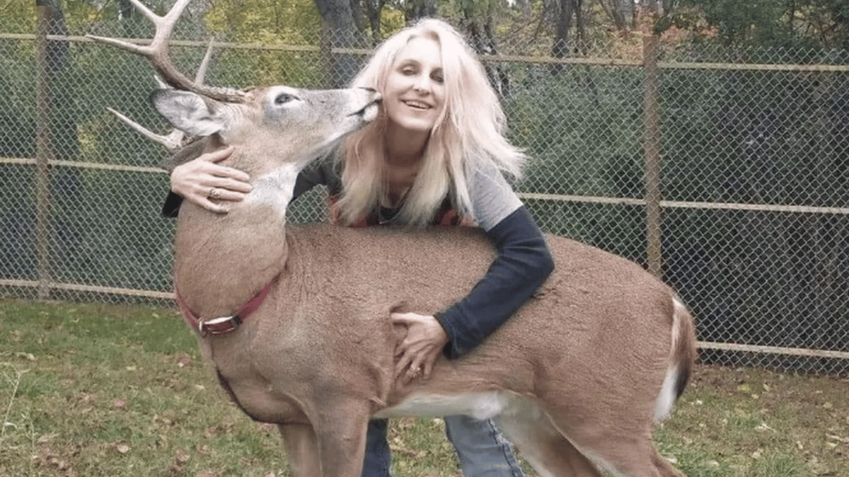 Woman mauled to death by deer she helped save and looked after
