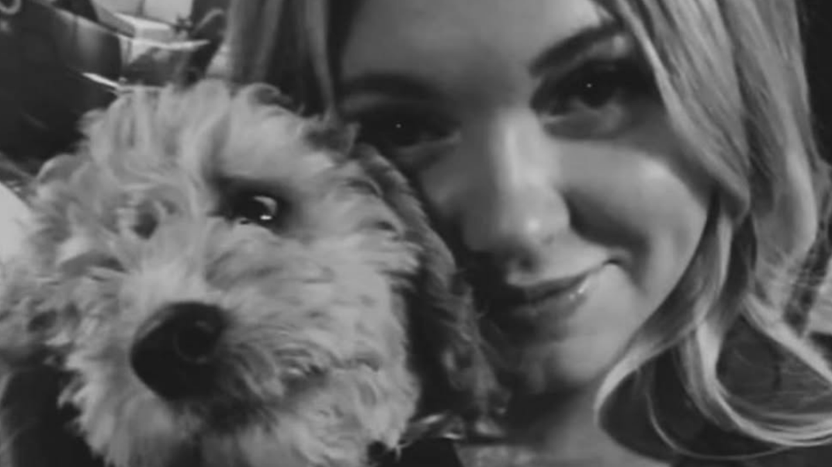 What happened to Kaylee Goncalves' dog after it witnessed her being stabbed to death by Bryan Kohberger