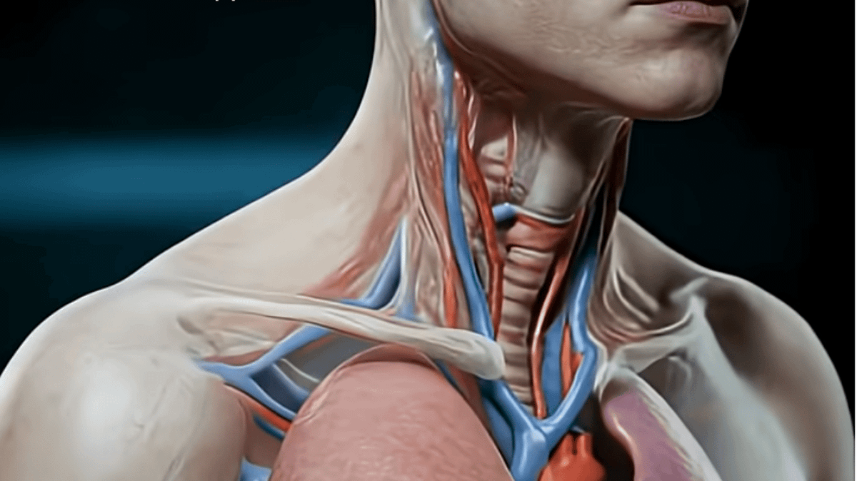 Shocking simulation shows what actually happens to your body if you don ...