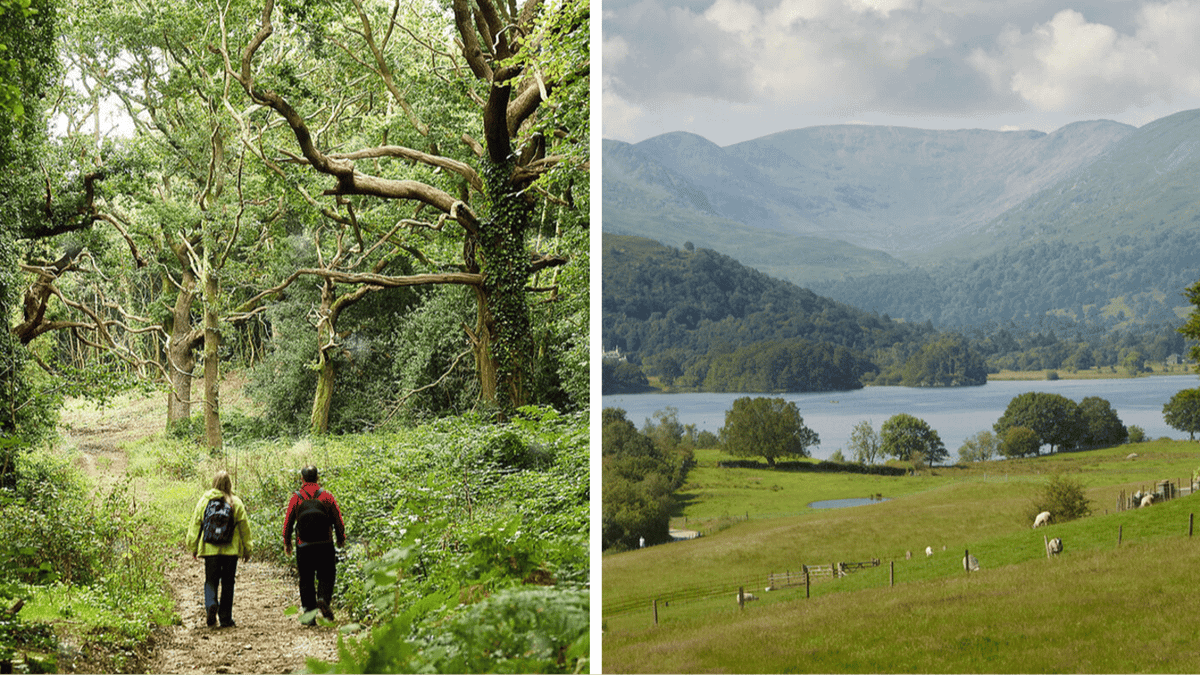 How to find nature in your everyday life / How to get more nature into your day