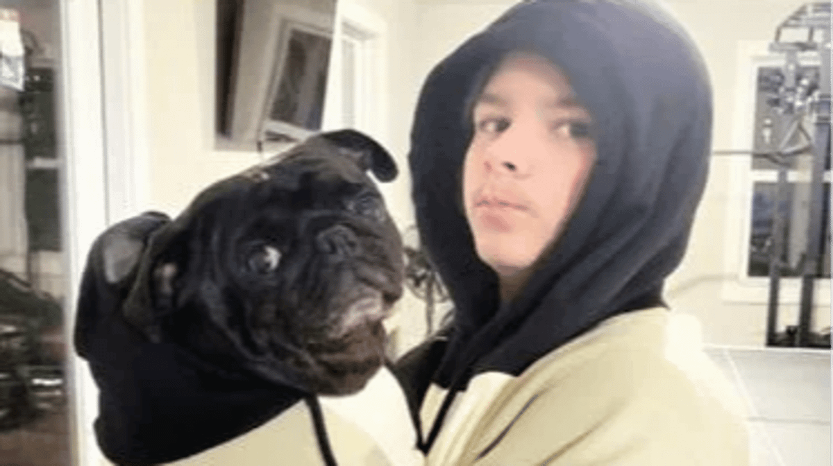 Vet employee 'took dog home' after family paid to have it put down