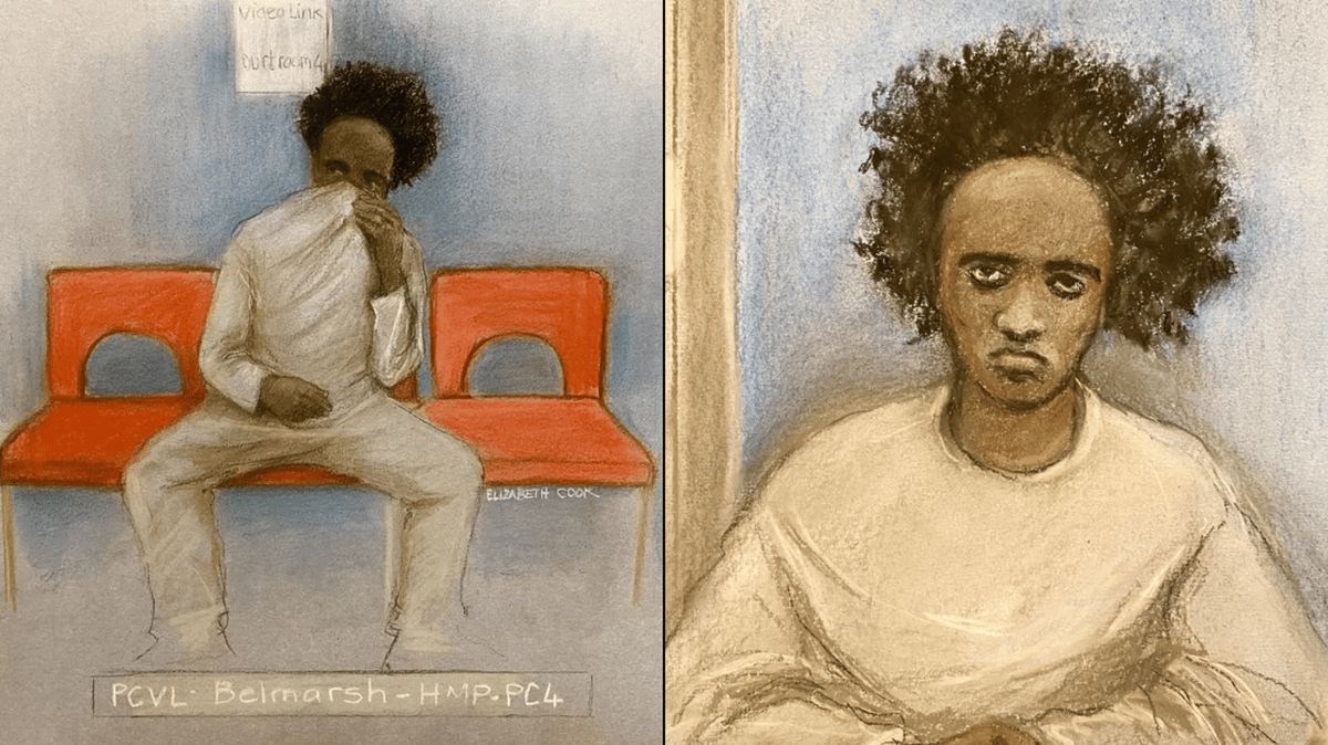 Axel Rudakubana pleads guilty to murder of three young girls after ...