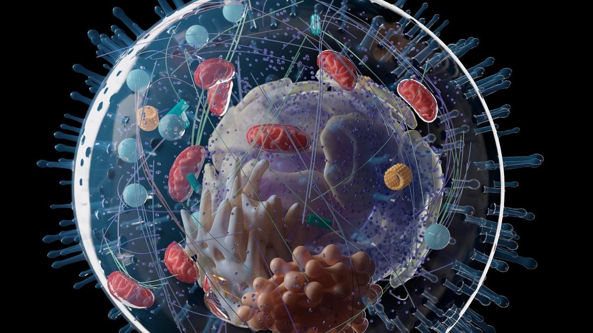 Scientists make major breakthrough in origin of life on Earth