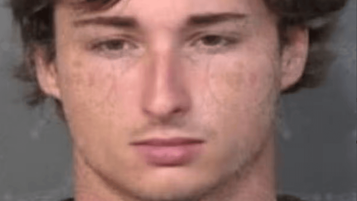 Man accused of 'cutting sex offender into pieces' after 'beating him to death'