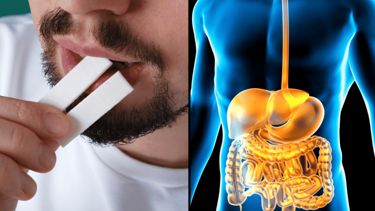 swallowing chewing tobacco Truth behind what actually happens if you swallow chewing gum