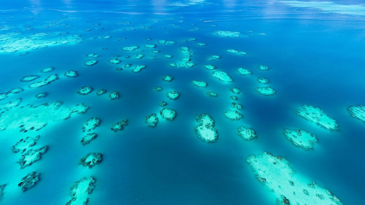 Beuma Triangle Scientist explains ‘truth’ behind Bermuda Triangle after mystery is ...